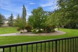 Yard - 