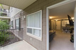 Patio terrace - 