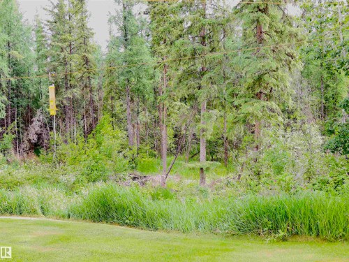 Image quality insufficient for description - 58403 Rr 60, Rural Barrhead County, AB - Outdoor With View