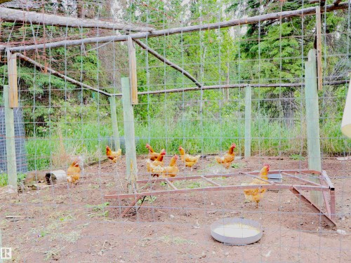 Image quality insufficient for description - 58403 Rr 60, Rural Barrhead County, AB - Outdoor