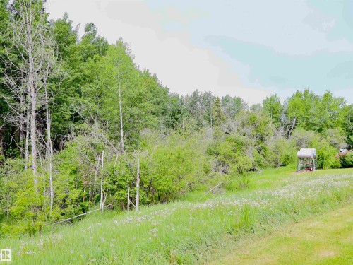 Expansive green space featuring a gentle slope, mature trees, and natural foliage - 58403 Rr 60, Rural Barrhead County, AB - Outdoor With View