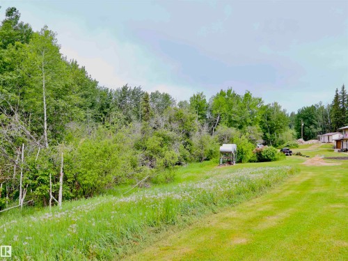 Expansive green lawn extending to a natural treeline - 58403 Rr 60, Rural Barrhead County, AB - Outdoor