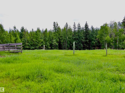 Expansive grassy field with a treeline border - 58403 Rr 60, Rural Barrhead County, AB - Outdoor