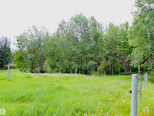 Expansive green space featuring natural fencing and a backdrop of mature trees - 58403 Rr 60, Rural Barrhead County, AB - Outdoor