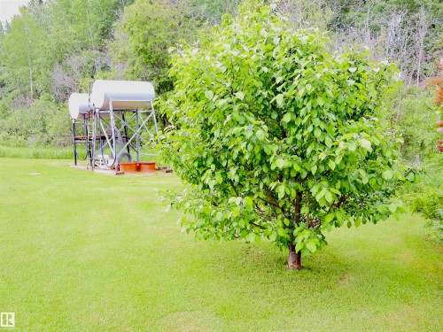 Lush green lawn with a mature deciduous tree and two elevated tanks on a metal frame, set against a backdrop of dense foliage - 58403 Rr 60, Rural Barrhead County, AB - Outdoor