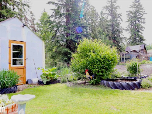 Greenhouse structure with wood-panel door, featuring a landscaped garden area, mature trees, and a grassy expanse - 58403 Rr 60, Rural Barrhead County, AB - Outdoor