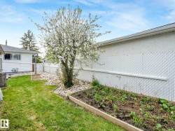 Expansive grassy yard area featuring a flowering tree, a raised garden bed, and a gravel border - 