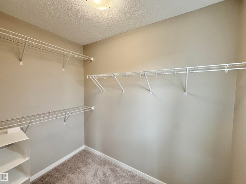 Neutral-toned closet featuring wire shelving, white baseboards, and textured carpeting - 22519 96 Avenue, Edmonton, AB 