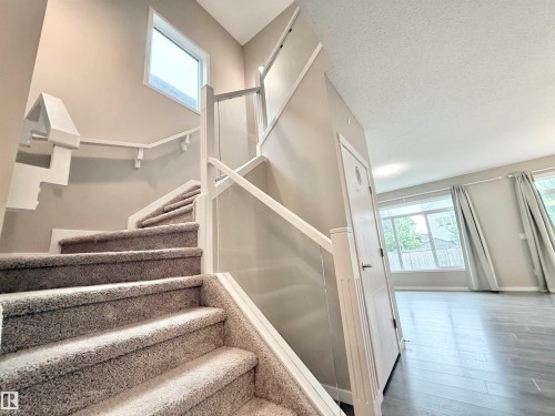 Carpeted staircase with white handrail and glass panel accents - 22519 96 Avenue, Edmonton, AB 
