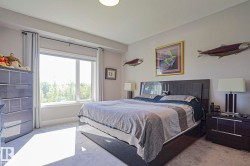 Bright bedroom featuring a large window, light gray walls, and plush carpeting - 