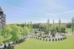 Expansive green space featuring a circular landscaped garden with varied plantings, mature trees, and a winding pathway - 