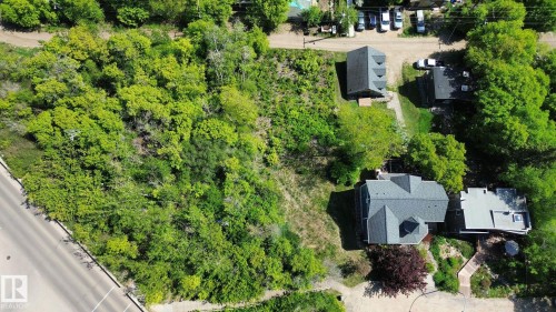 Expansive wooded lot offering significant green space and a bordering roadway - 10173 93 Street, Edmonton, AB 