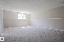 Spacious room featuring new carpeting, a textured ceiling, a single window, and a neutral two-tone wall paint scheme with a decorative chair rail - 