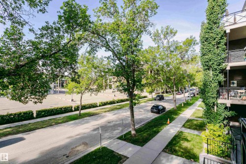 Streetscape featuring mature trees, concrete sidewalks, and an asphalt road - 211 10808 71 Avenue, Edmonton, AB 