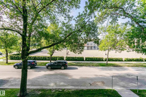 Street-level perspective featuring mature trees, a paved street, and a concrete sidewalk - 211 10808 71 Avenue, Edmonton, AB 