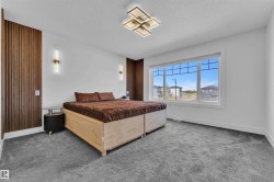 Spacious room featuring broadloom carpeting, a large multipane window, and a wood-slat accent wall - 