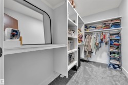 Spacious walk-in closet featuring white built-in shelving, hanging rods, and plush gray carpet flooring - 