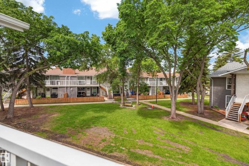 Central green space featuring mature trees and a concrete pathway - 35 3111 142 Avenue, Edmonton, AB 