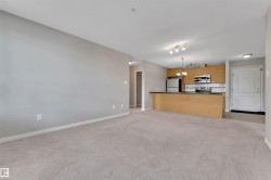Open-concept living space featuring light gray walls and plush carpet flooring - 