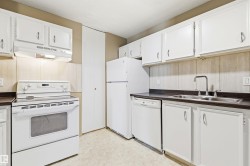 Kitchen featuring white cabinetry, white electric range, white dishwasher, and a white refrigerator - 