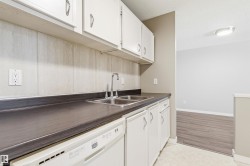 Kitchen area featuring white cabinetry, a double basin stainless steel sink, a dark countertop, an integrated dishwasher, and a light-toned backsplash - 