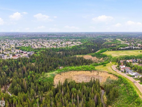 Expansive aerial perspective showcasing a verdant forest, a meandering creek, and residential areas - 2005 Saddleback Road, Edmonton, AB - Outdoor With View
