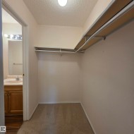 Walk-in closet featuring carpet flooring and white walls - 