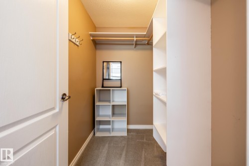 Walk-in closet featuring carpet flooring, built-in shelving, and hanging rods - 315 Osland Place, Edmonton, AB 