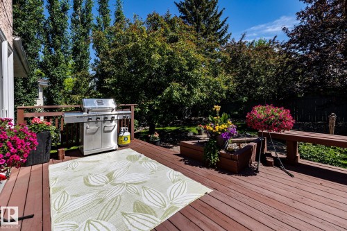 Expansive wood-finish deck featuring a stainless steel built-in grill, wood railing, and mature perimeter trees - 315 Osland Place, Edmonton, AB 