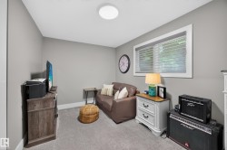 Carpeted room featuring light gray walls, a window with blinds, and white trim - 