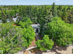 Tree-lined residential property featuring a distinctive A-frame roofline and a dark-toned exterior - 