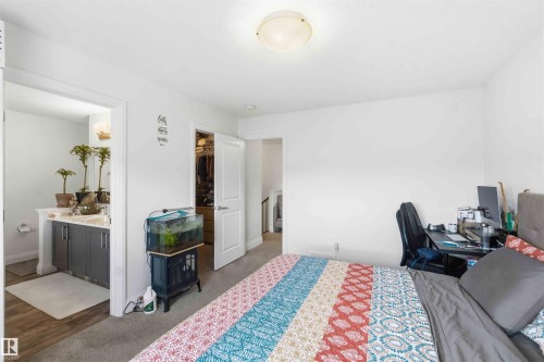 Carpeted bedroom with white walls, featuring an open doorway to a bathroom with a double vanity and an additional doorway revealing a walk-in closet - 9323 223 Street, Edmonton, AB 