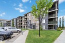 403 270 Mcconachie Drive, Edmonton, AB 