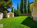 Expansive green lawn with a storage shed featuring double doors and side windows - 24 Addison Crescent, St. Albert, AB 