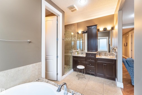 17424 108 Street, Edmonton, AB - Indoor Photo Showing Bathroom