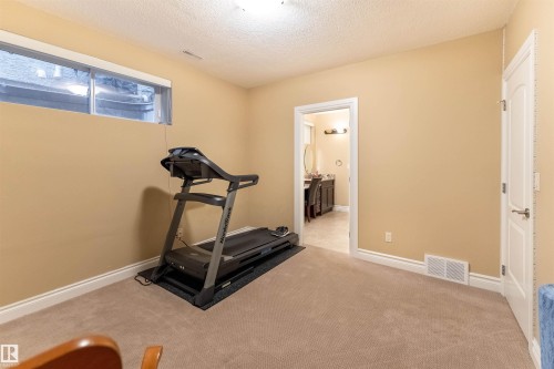 17424 108 Street, Edmonton, AB - Indoor Photo Showing Gym Room