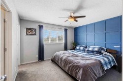 Bedroom with a paneled accent wall, a ceiling fan with integrated lighting, and carpeted flooring - 