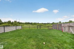 Expansive green lawn featuring a chain-link fence, wood privacy fence, and a gate providing access to the adjacent natural area - 