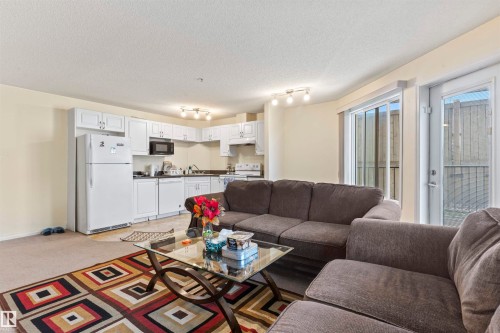 117 111 Edwards Drive, Edmonton, AB - Indoor Photo Showing Living Room