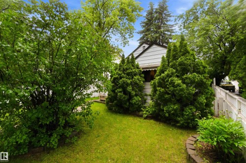 Lush green lawn with mature trees and established shrubbery - 12016 61 Street, Edmonton, AB 