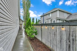 Exterior pathway featuring concrete paving, privacy fencing with string lighting, and mature landscaping - 