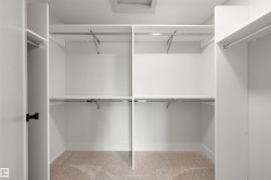 Walk-in closet with built-in shelving, chrome hanging rods, and neutral carpet flooring - 