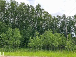 26 59027 Rge Rd 232  Rural Thorhild County, AB T0G 1L0