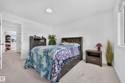 Bright room with carpet flooring, white walls, and a single window - 104 Kidd Crescent, Leduc, AB 