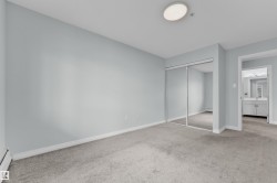 Wall-to-wall carpeting with light gray walls, featuring a sliding mirrored closet door and a flush-mount ceiling light fixture - 