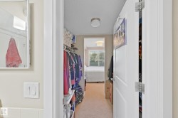 Hallway with neutral carpet flooring and white trim leading to a room with natural light - 