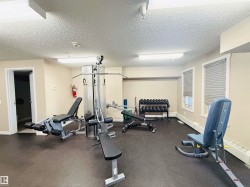Fitness area featuring a rubberized floor, multiple weight machines, a dumbbell rack, and natural light from two windows - 