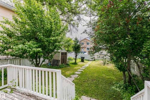 Backyard featuring a wood deck with white railings, a stone pathway, a storage shed, and mature trees - 11105 81 Avenue, Edmonton, AB 
