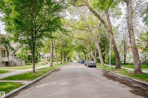 Tree-lined residential street featuring mature trees, sidewalks, and street parking - 11105 81 Avenue, Edmonton, AB 