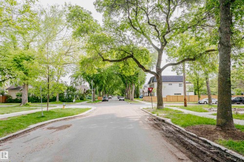 Tree-lined streetscape featuring mature trees, residential properties, sidewalks, and a paved road - 11105 81 Avenue, Edmonton, AB 